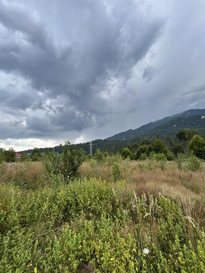 Teren Construcții intravilan de 1724 mp, în Cumpătu
