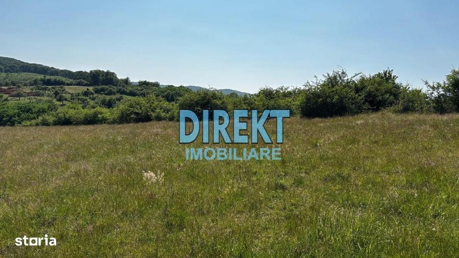 Spațiu comercial, în Central