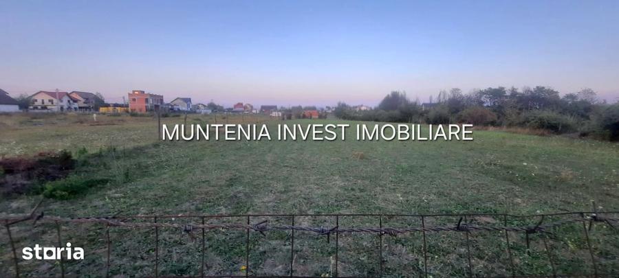Teren 6000 mp. intravilan Smeura, str. Olteni - 9