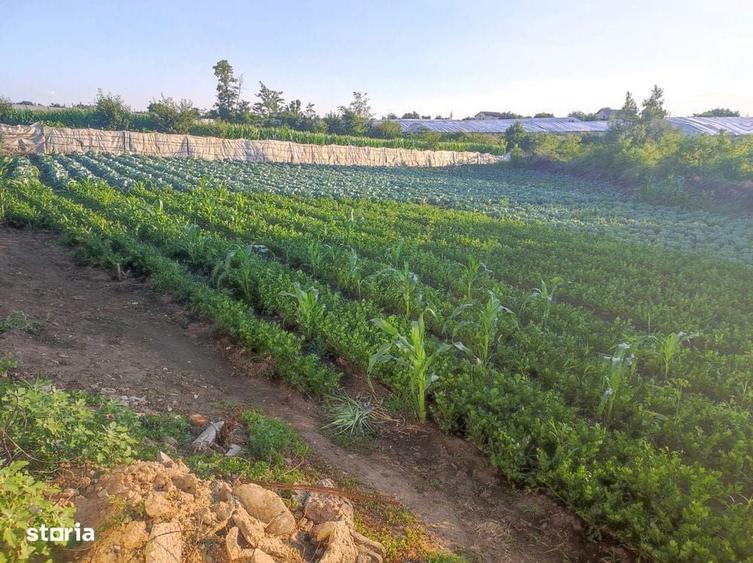 Casă cu 4 camere în Matca