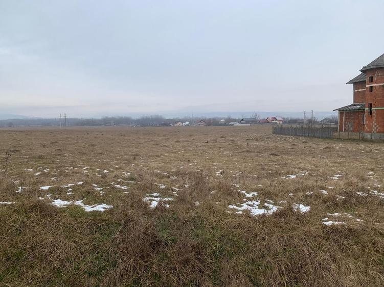 Teren Construcții intravilan de 2000 mp, în Părhăuți