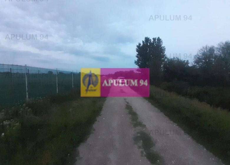 Teren Construcții intravilan de 3820 mp, în 1 Decembrie