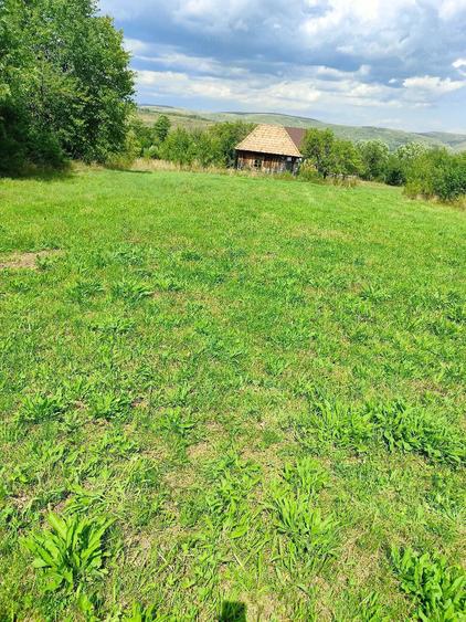 Teren de 2000 mp, în Mașca