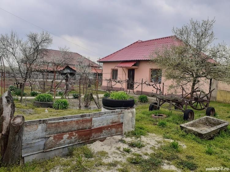 Casă cu 3 camere cu Teren 2500 Mp în Butoiești