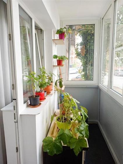 Apartament cu 4 camere decomandat în Calea Aradului