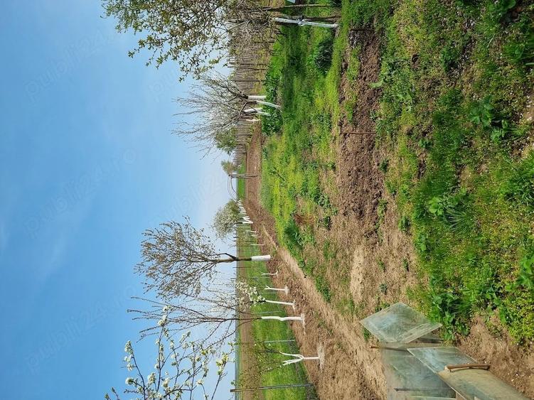 Casă cu 2 camere cu Teren 1500 Mp în Copaciu