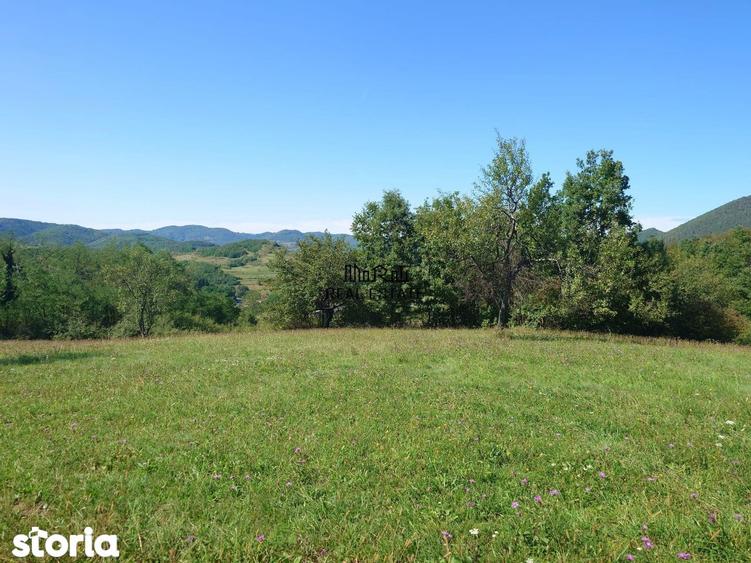 Teren de 8757 mp, în Luncoiu de Jos