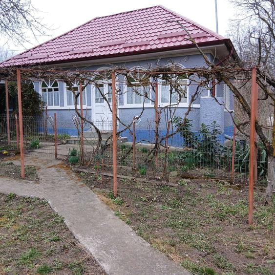 Persoana fizica vand casa in Sat Legii comuna Geaca - 3