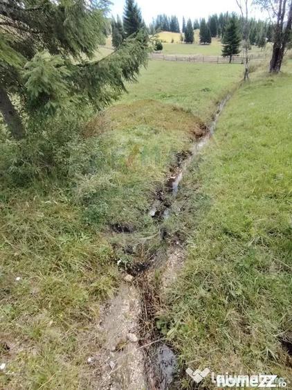 Teren de 14318 mp, în Paltin