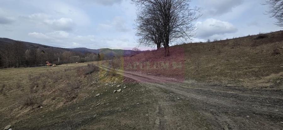 Teren intravilan 2200 mp de vanzare in Valea Doftanei - 2