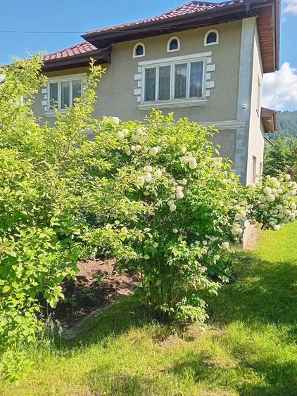 Casă cu 3 camere cu Teren 3557 Mp în Argestru