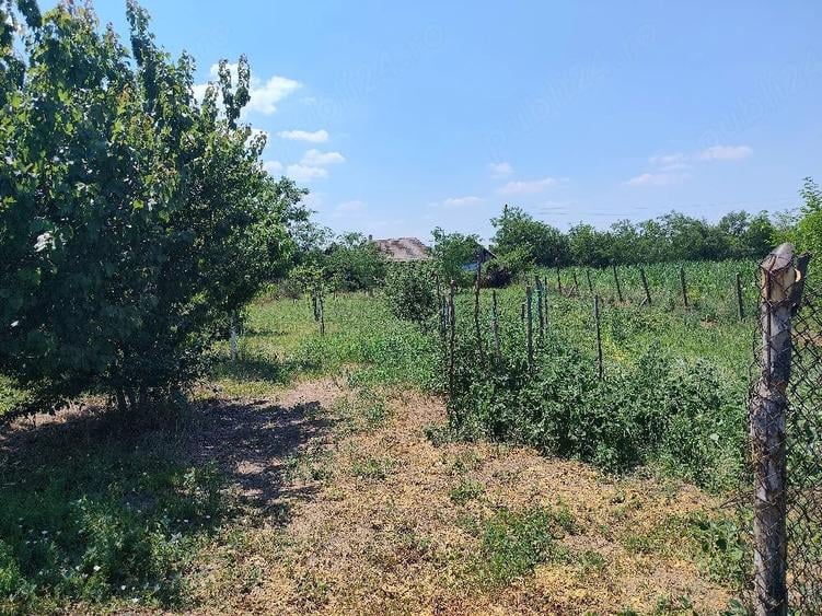 Casă cu 3 camere cu Teren 10000 Mp în Central
