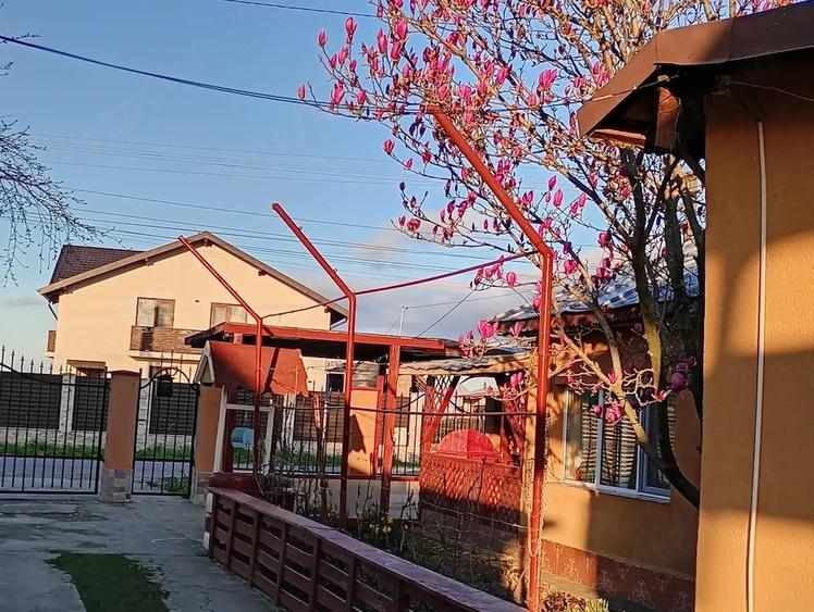 Casă cu 5 camere cu Teren 742 Mp în Brătășanca