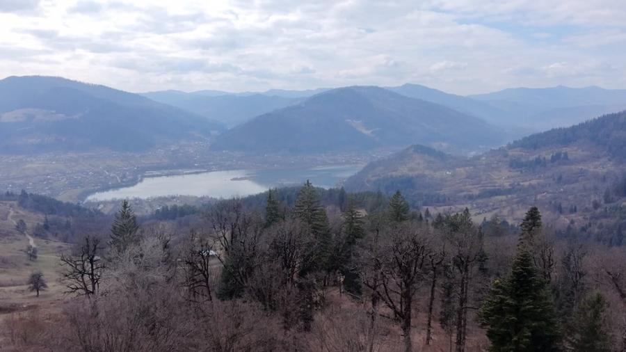 Teren Construcții intravilan de 1751 mp, în Scăricica