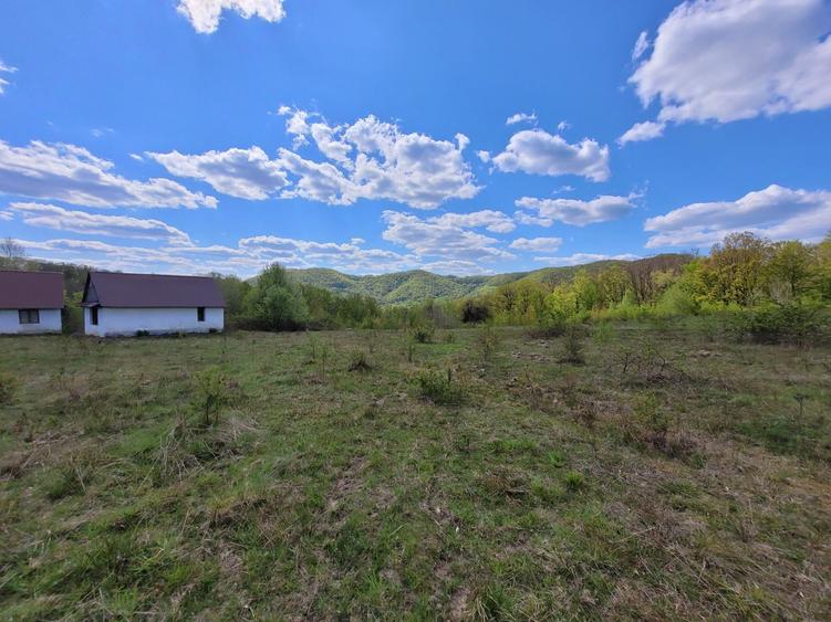 Teren de 70000 mp, în Șerani
