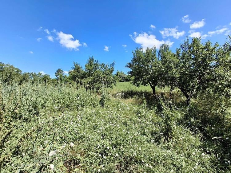 Casa de vanzare in centrul comunei Sanger, judetul Mures 100 mp + teren intravilan 3.300 mp - 3