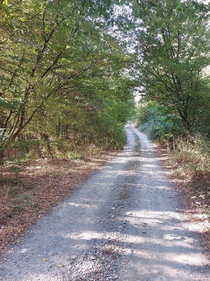 Teren de 966 mp, în Fârdea