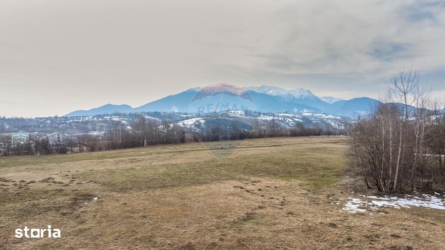 Teren de 4500 mp, în Central