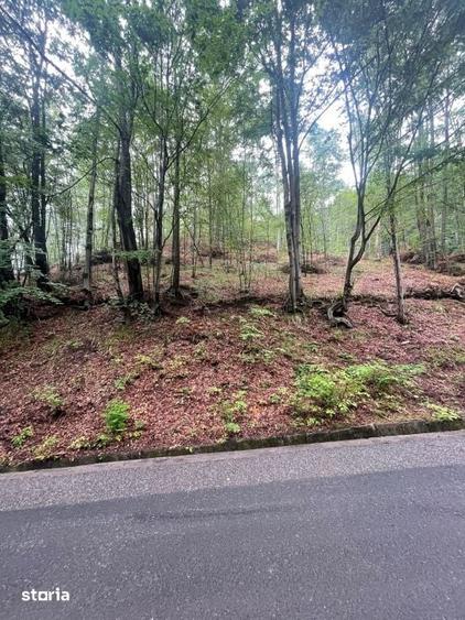 Teren de 26000 mp, în Central