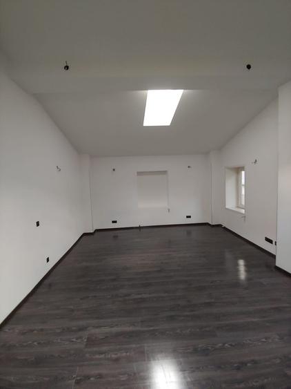 Spațiu comercial, de 300 mp, în Dacia