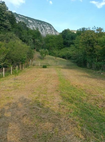 Casă cu 4 camere cu Teren 1697 Mp în Central