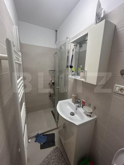 Apartament cu 3 camere decomandat, mobilat în Torontalului