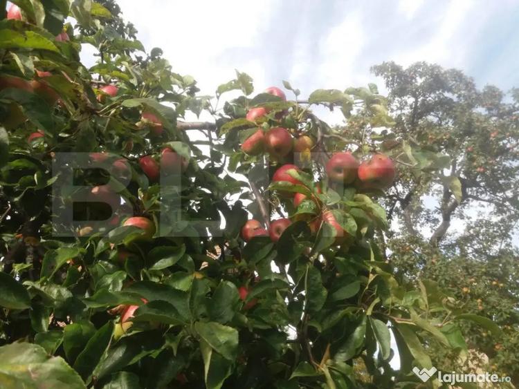Casă cu 3 camere cu Teren 1372 Mp în Baciu