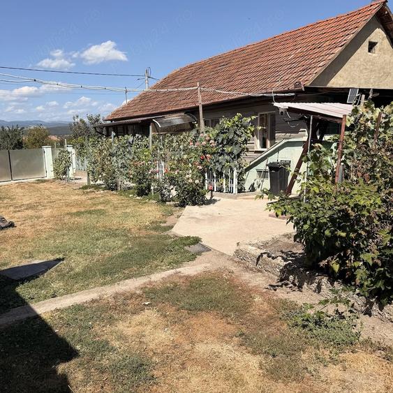 Casă cu 3 camere cu Teren 4266 Mp în Meșcreac