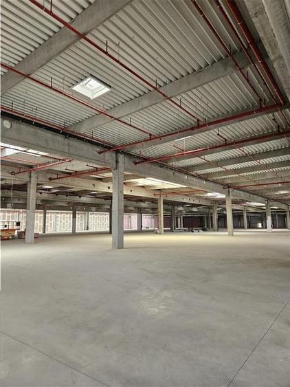Spatiu Industrial - 4000 mp - Logistica - Productie - Depozitare - Distributie - 6