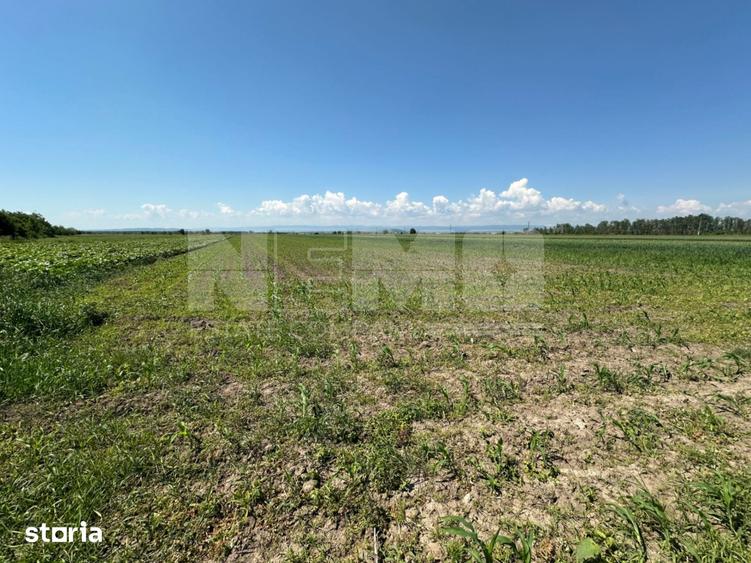 Teren de 5300 mp, în Frătăuții Vechi