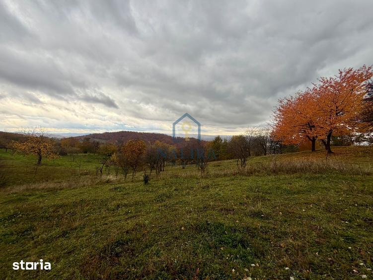 Teren de 3418 mp, în Valea Chioarului