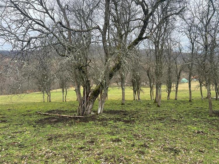 Teren intravilan de 11423 mp, în Luncoiu de Jos