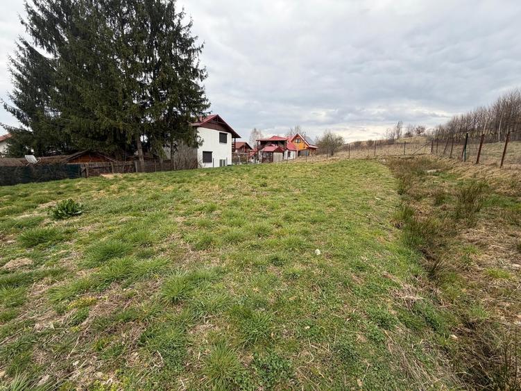 Teren Construcții intravilan de 584 mp, în Sadu