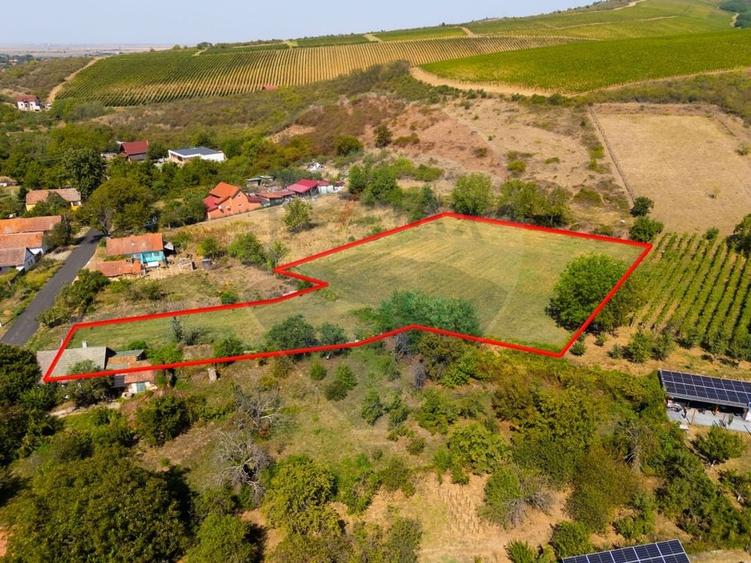 Teren Construcții intravilan de 4184 mp, în Miniș