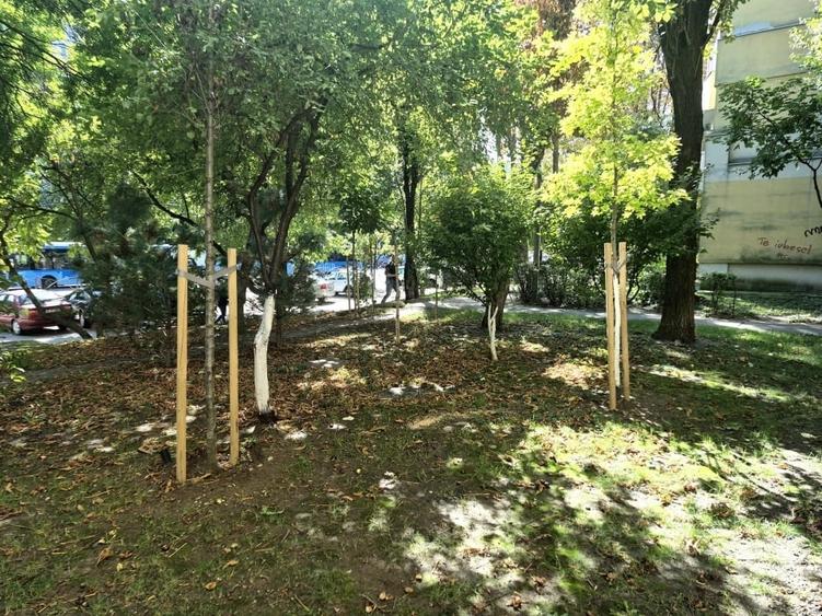 Apartament cu 3 camere decomandat, mobilat în Colentina