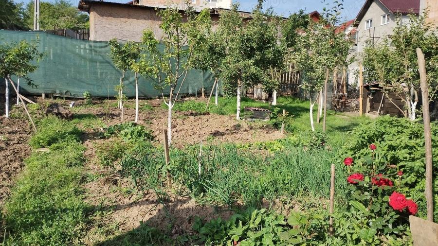 Casă cu 4 camere cu Teren 500 Mp în Borhanci