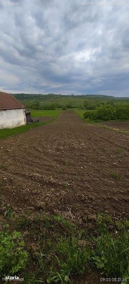 Teren de 4700 mp, în Merghindeal
