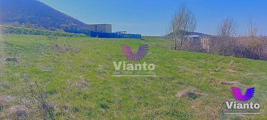 Teren agricol extravilan de 1500 mp, în Poplaca