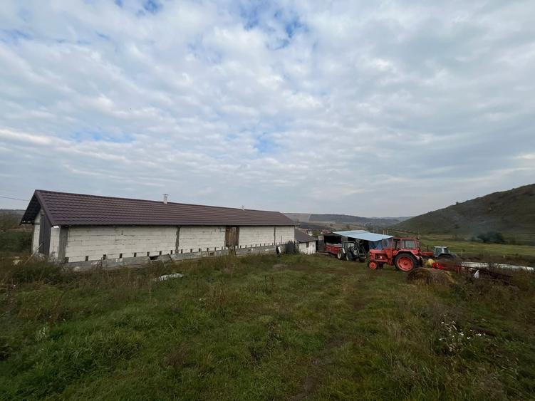 Teren Construcții intravilan de 6500 mp, în Frata
