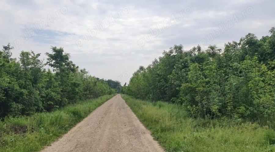 Teren de 1250 mp, în Ciofliceni