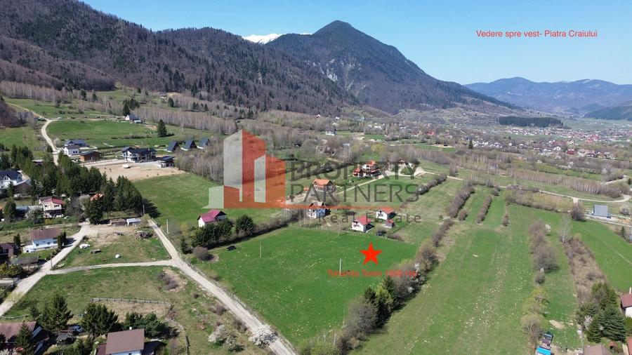 Teren Bran Tohanita | Intravilan 1.379 mp | Vedere Panoramică| - 1