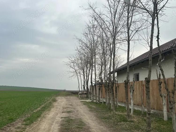 Teren de 2000 mp, în Vasile Alecsandri