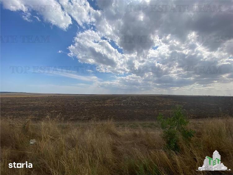 Teren de 24250 mp, în Mihail Kogălniceanu
