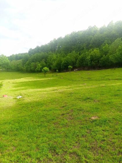 Teren de 5500 mp, în Drăganu