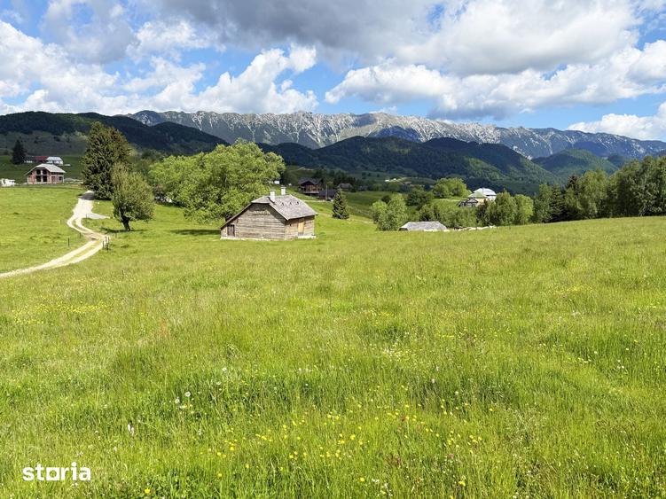 Teren 1425 mp, sat Sinea, zona Bran Moieciu - 1