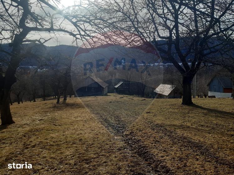 Ocazie! Teren 9735 mp Bran- Predelut / Strada Pe Tarina nr. 70A - 17