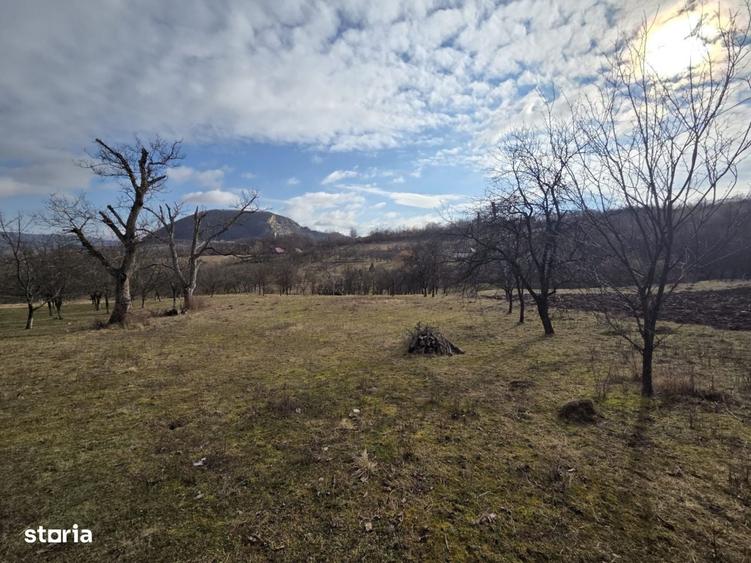 Spațiu comercial, în Moigrad-Porolissum
