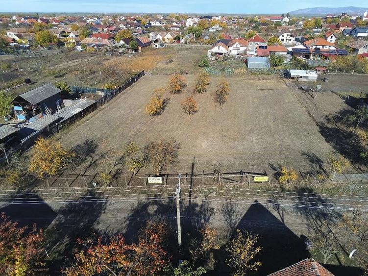 Teren intravilan 3000mp Loc. Sambateni Jud. Arad - 1