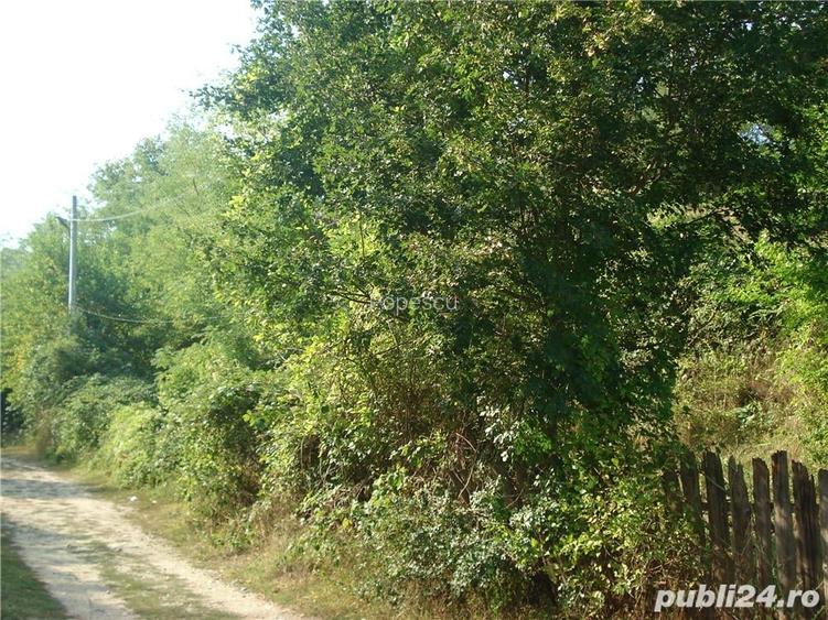 Teren vanzare Calimane?ti, Valcea