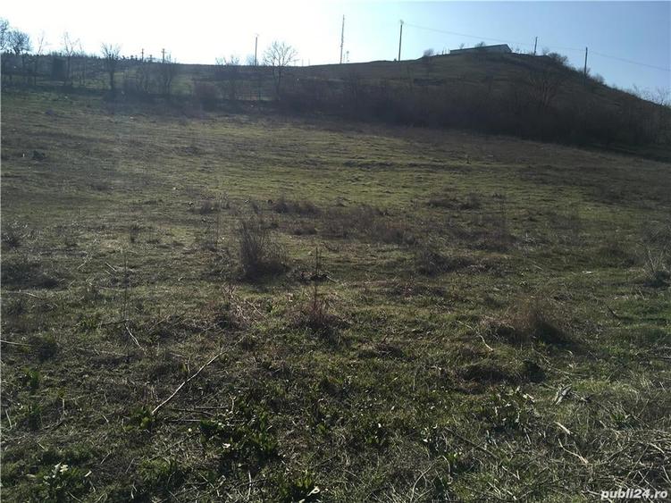 Teren de 3000 mp, în Mahmudia